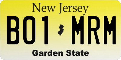 NJ license plate B01MRM