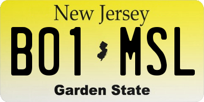 NJ license plate B01MSL