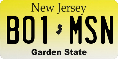 NJ license plate B01MSN