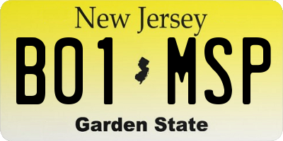 NJ license plate B01MSP