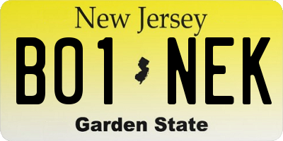 NJ license plate B01NEK