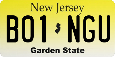 NJ license plate B01NGU