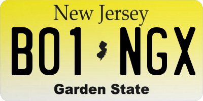 NJ license plate B01NGX