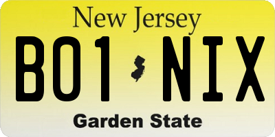 NJ license plate B01NIX