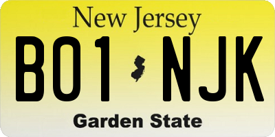 NJ license plate B01NJK