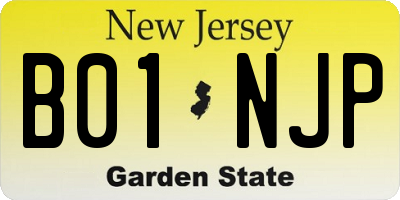 NJ license plate B01NJP