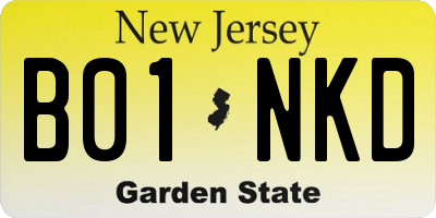 NJ license plate B01NKD