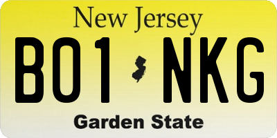 NJ license plate B01NKG