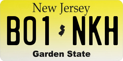 NJ license plate B01NKH
