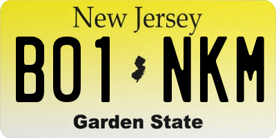NJ license plate B01NKM
