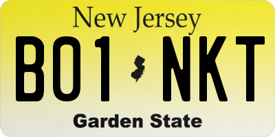 NJ license plate B01NKT