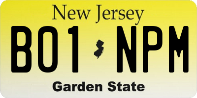 NJ license plate B01NPM