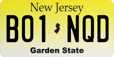 NJ license plate B01NQD