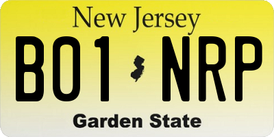NJ license plate B01NRP