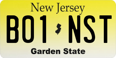 NJ license plate B01NST