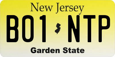 NJ license plate B01NTP