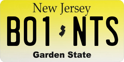 NJ license plate B01NTS