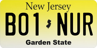 NJ license plate B01NUR
