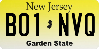 NJ license plate B01NVQ