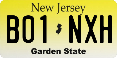 NJ license plate B01NXH