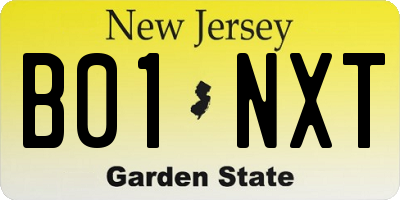 NJ license plate B01NXT
