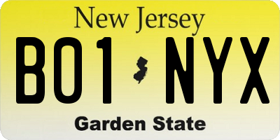 NJ license plate B01NYX