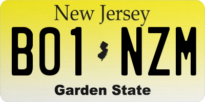 NJ license plate B01NZM