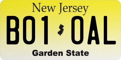 NJ license plate B01OAL