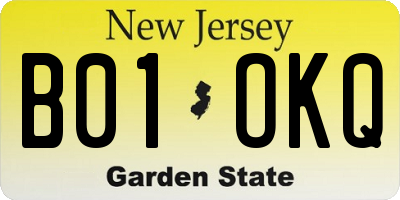 NJ license plate B01OKQ