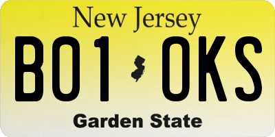 NJ license plate B01OKS