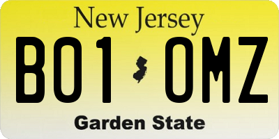 NJ license plate B01OMZ