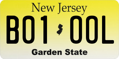 NJ license plate B01OOL