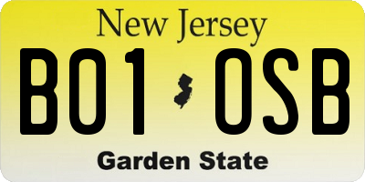 NJ license plate B01OSB