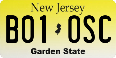 NJ license plate B01OSC