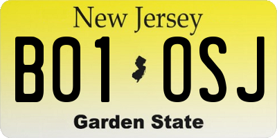 NJ license plate B01OSJ