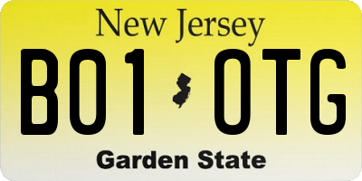 NJ license plate B01OTG