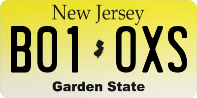 NJ license plate B01OXS
