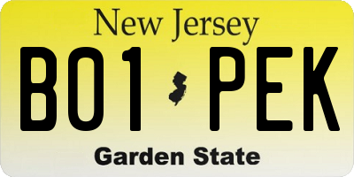 NJ license plate B01PEK