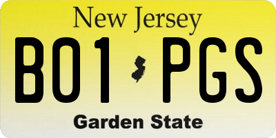 NJ license plate B01PGS