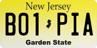 NJ license plate B01PIA