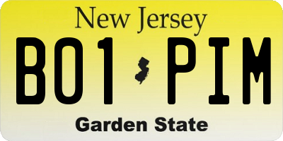 NJ license plate B01PIM