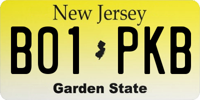 NJ license plate B01PKB