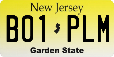 NJ license plate B01PLM