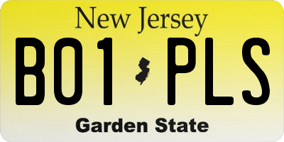 NJ license plate B01PLS