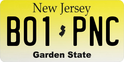 NJ license plate B01PNC