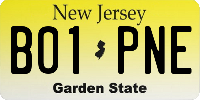 NJ license plate B01PNE