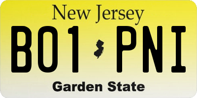NJ license plate B01PNI