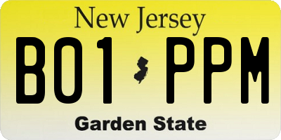 NJ license plate B01PPM