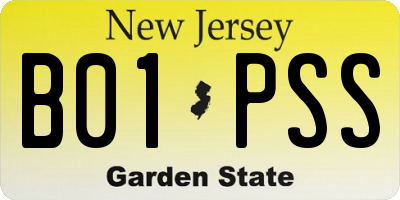 NJ license plate B01PSS