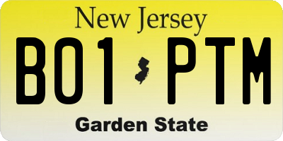 NJ license plate B01PTM